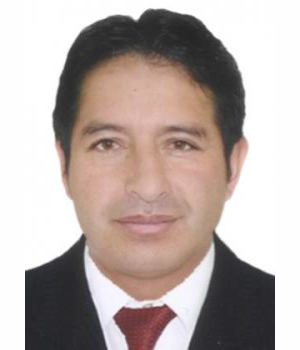 MILSON CASTAÑEDA AVILA