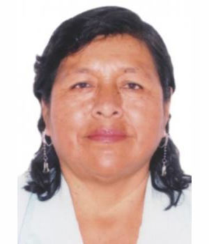 NELLY PALMIRA CASTILLO PEÑA