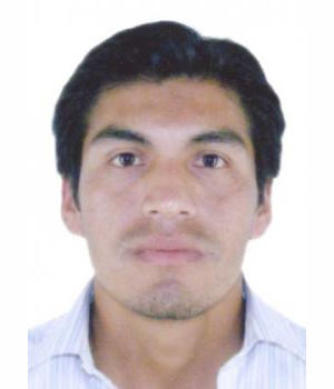 PERCY DANTE NICHO CHAVEZ