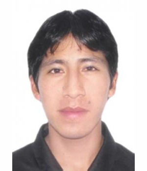 PERCY ESTRADA CARHUALLANQUI