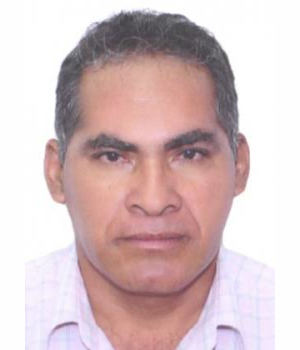 ROBERTO CISNEROS LINARES