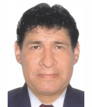RODOLFO FLAVIO MAYER VALENCIA