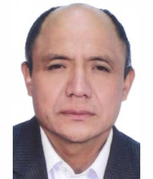 RODOLFO MARINO LINO ÑAUPARI