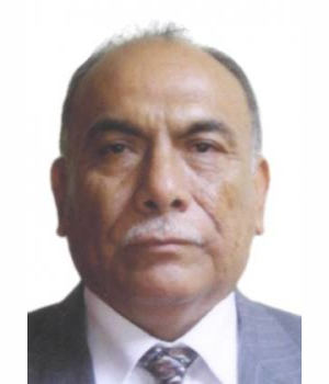 ROGELIO ANTENOR CANCHES GUZMAN