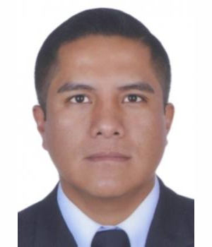 RONALD FELIX LEON PONCE