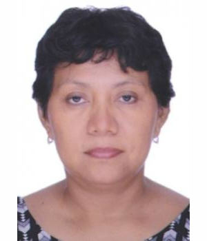 SOCORRO VALLADOLID HERNANDEZ