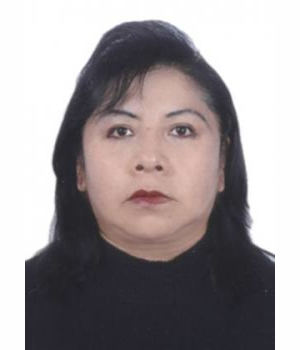 TERESA GLADYS RODRIGUEZ MAMANI