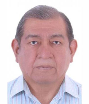 VICENTE RAUL SOLANO SACRAVILCA