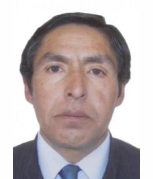 VICENTE VICTOR ALARCON ARRIETA