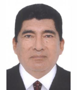 VICTOR RAUL ESPINOZA CONDORI