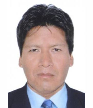 VIDAL PUNCHAN QUISPE ROJAS