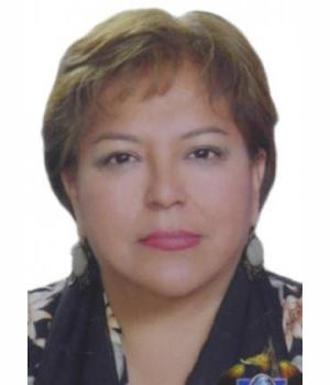 VILMA JULIA MENDEZ GIL