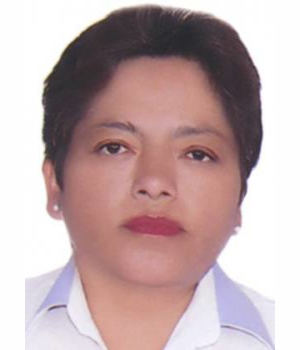 VIRGINIA MENDOZA TARAZONA