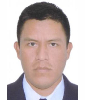 VLADIMIR RAUL LLACUA ANCO