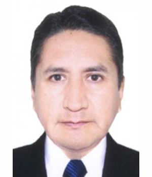 VLADIMIR ROY CERRON ROJAS