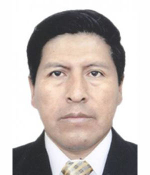 WALTER AGUSTIN QUISPE GALINDO