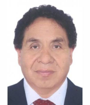 WALTER JOSUE DIAZ RAMOS