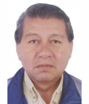 WALTER PERCIVAL MENDOZA AYALA