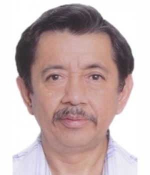 WILFREDO SEGUNDO DIAZ VELASQUEZ