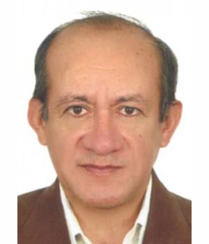 WILSON DAVID HERNANDEZ BRICEÑO