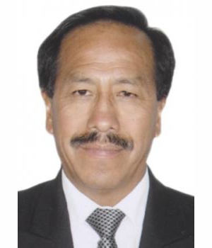 WUILBER MENDOZA APARICIO