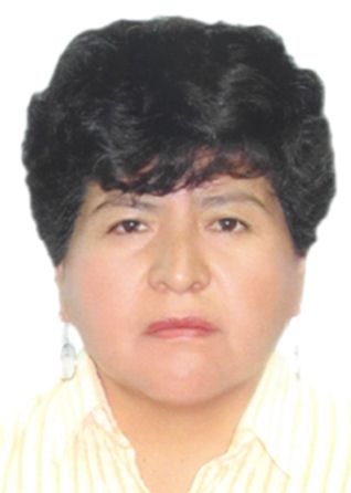Candidato ALEJANDRINA SOTO CASTILLO