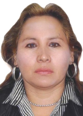 Candidato maria-elena-ullilen-armas.jpg
