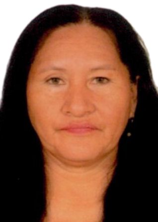 HILDA AMASIFUEN PICOTA