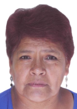 VILMA GRACIELA PACHECO CRIBILLERO