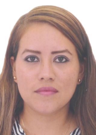 ELVA REATEGUI DAVILA