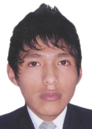 VLADIMIR MATEO CARDENAS CASAS
