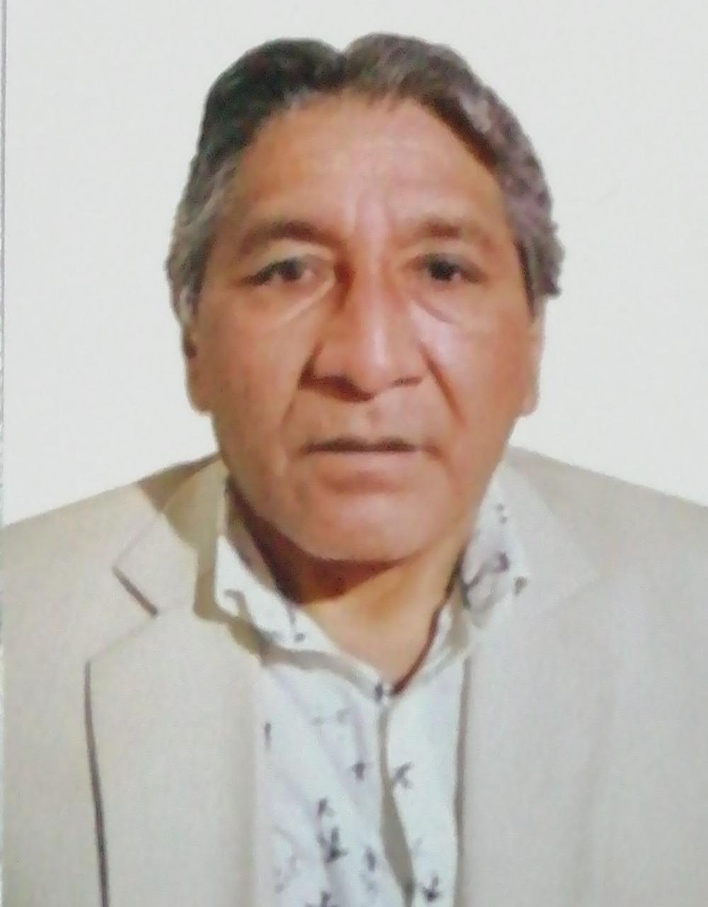 DAVID ALFONSO PALOMINO MALLQUI