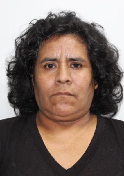 ANTONIA NORA VALLES PAREDES