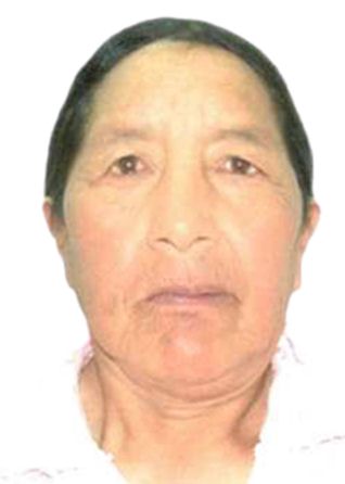 IRENE CASTRO QUILCA