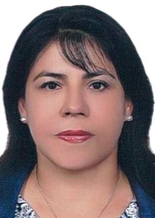 VIOLETA MARISOL OLIVEROS SOTOMAYOR