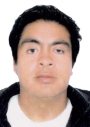 DREISSER VLADIMIR RUIZ CARUAJULCA