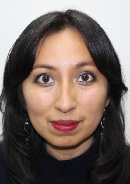 EDITH MILENI PASTOR ANCHAYHUA