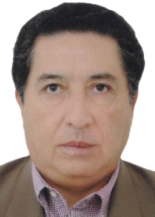 PEDRO ANTONIO MORALES MANSILLA