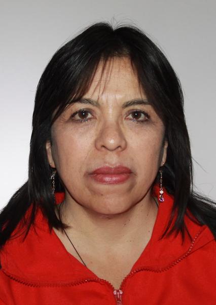 Adela Jesus Llerena Concha