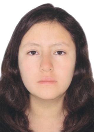 Agns noemiss bejarano manrique de lara