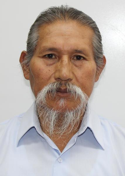 Alcides rayme marin