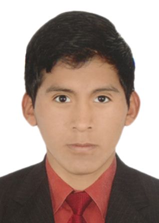 Alex Daniel Huayllani Camani