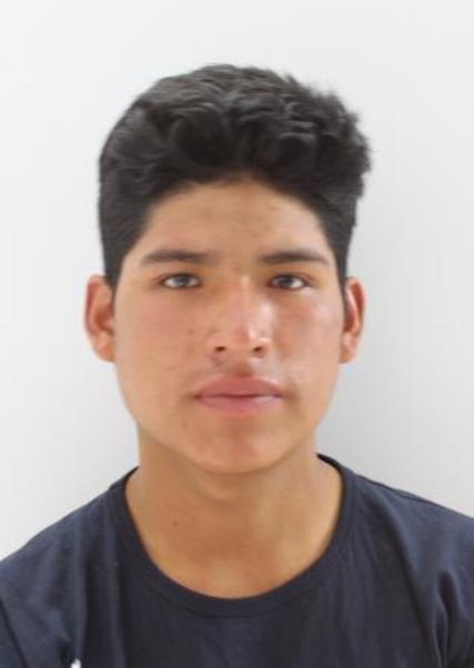 Alexander ronaldo morales pajuelo