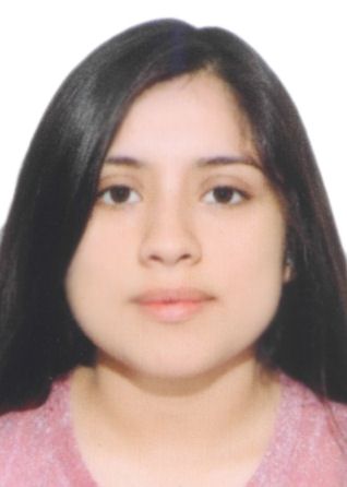 Alithu Del Milagro Cerna Ruiz