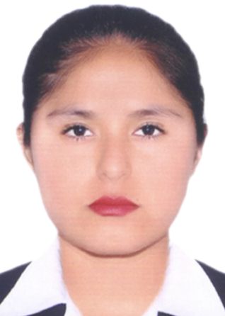 Ana Elizabeth Colquehuanca Condori