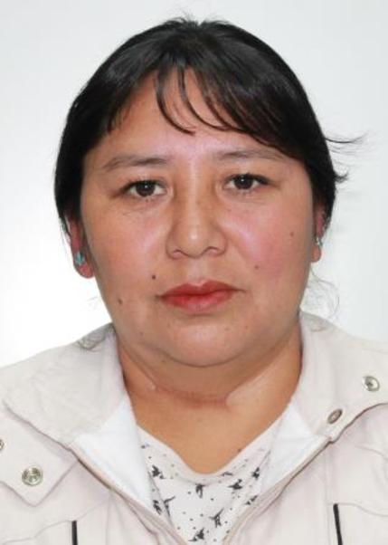 Ana luz coras cajamarca