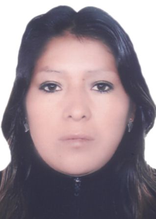 Ana Luz Sanchez Flores
