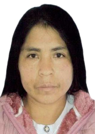 Anatila moya huerto