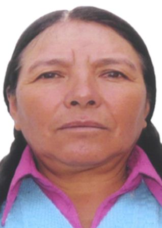 Arcadia alejandrina huerta roca