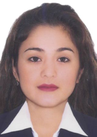Areli Diaz Castillo